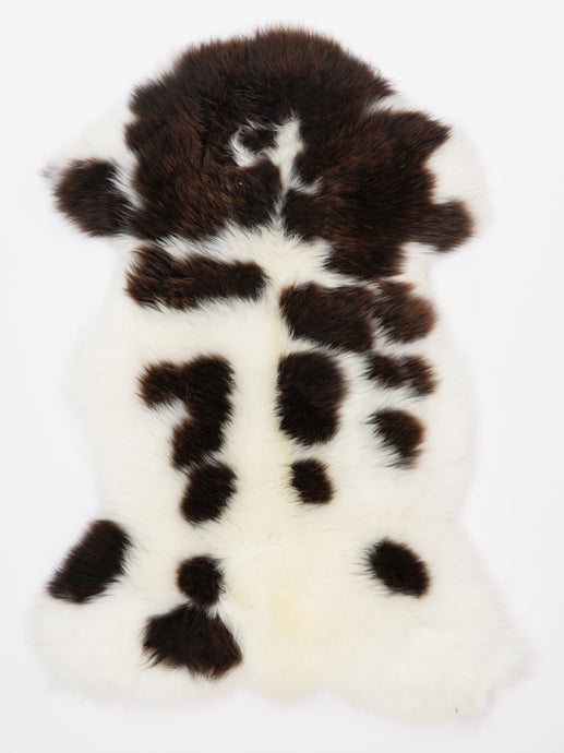 Įvairiaspalvis avikailis L