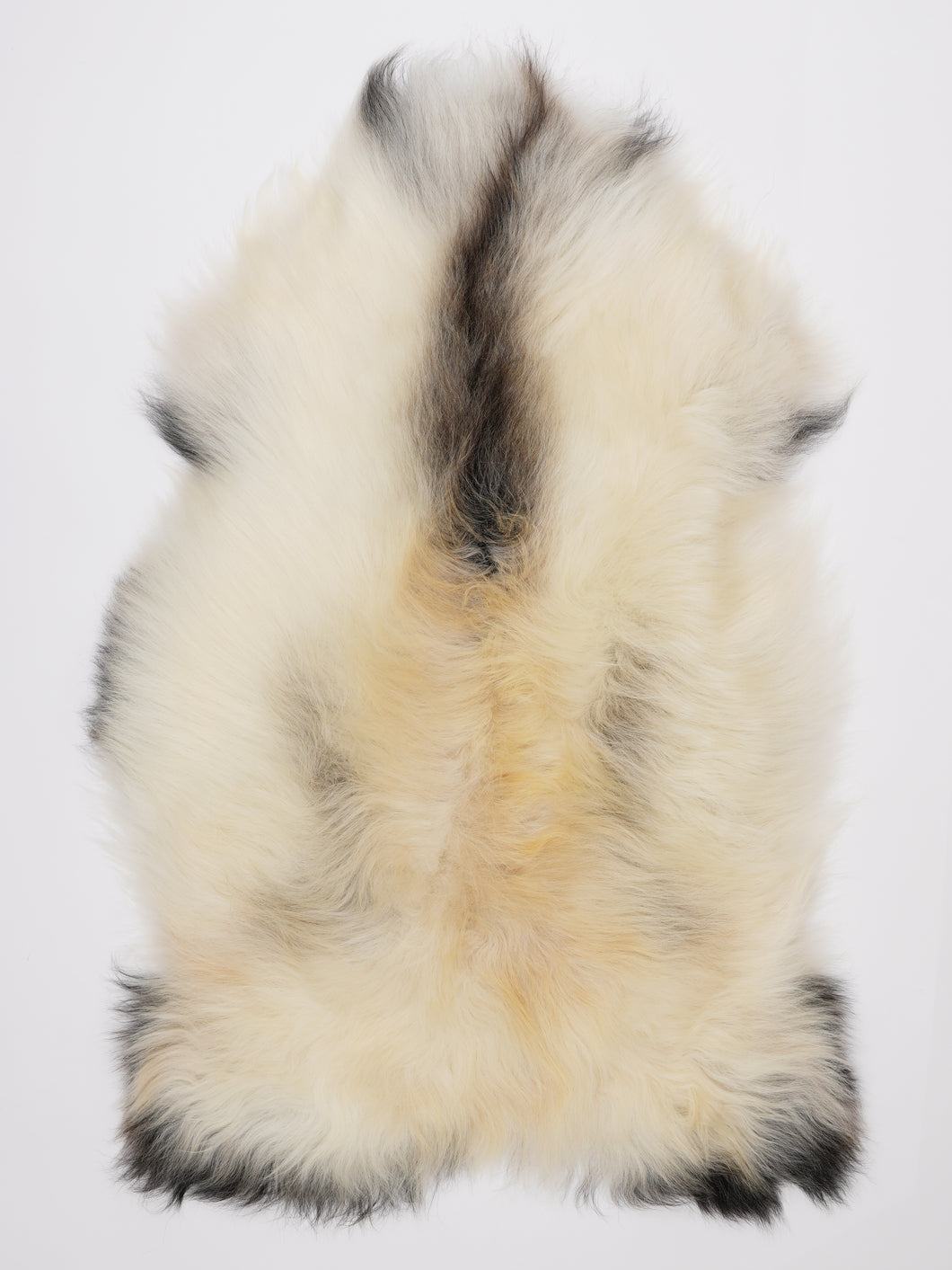 Islandiškas avikailis XL