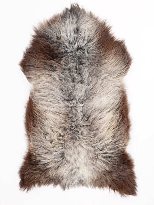 Įvairiaspalvis avikailis XL