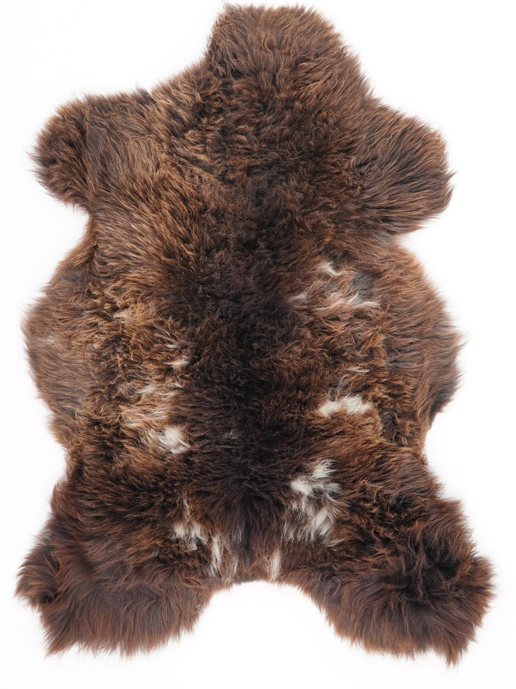 Įvairiaspalvis avikailis L