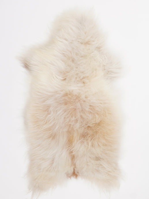 Islandiškas avikailis M