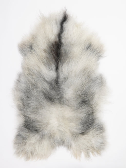 Pilkas islandiškas avikailis XL