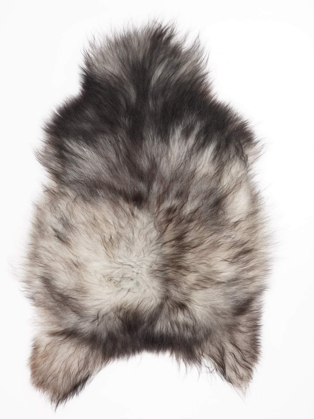 Pilkas islandiškas avikailis XL