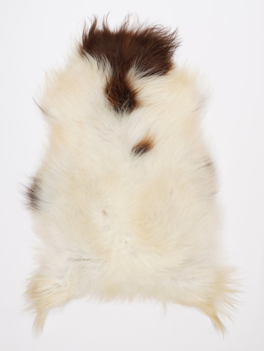 Islandiškas avikailis L