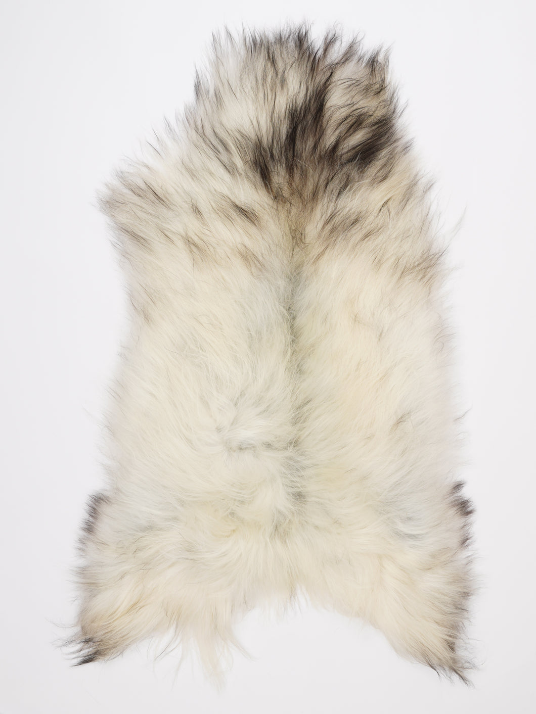 Islandiškas avikailis XL