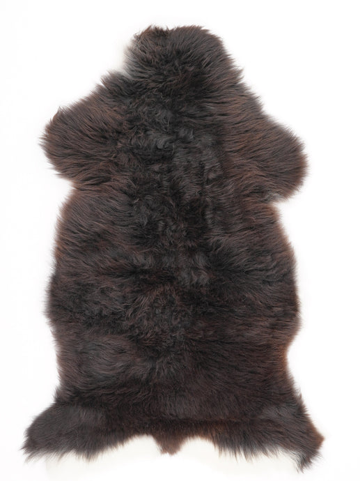 Įvairiaspalvis avikailis L