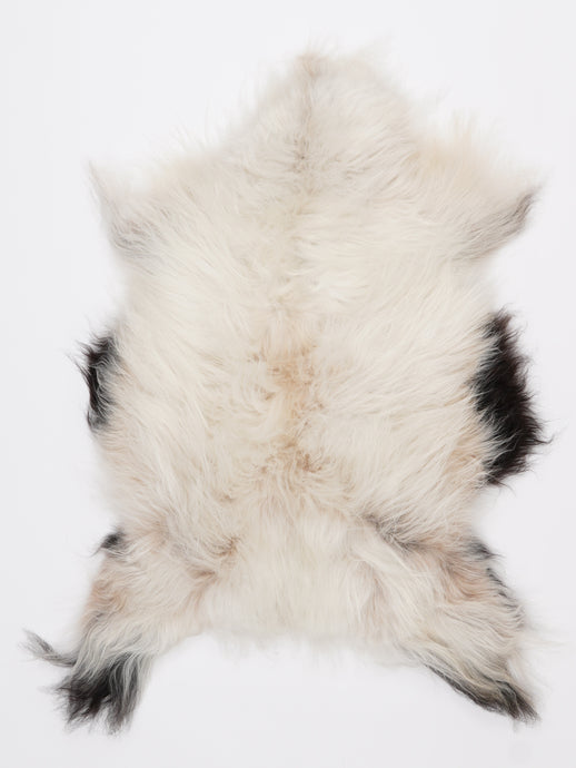 Islandiškas avikailis M