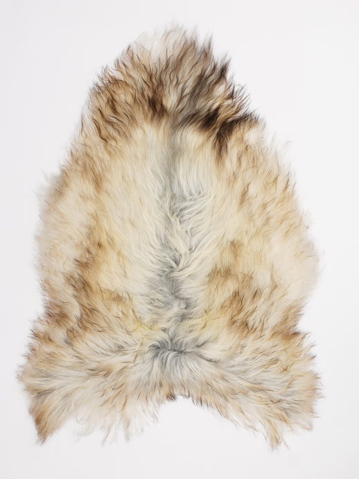 Pilkas islandiškas avikailis L