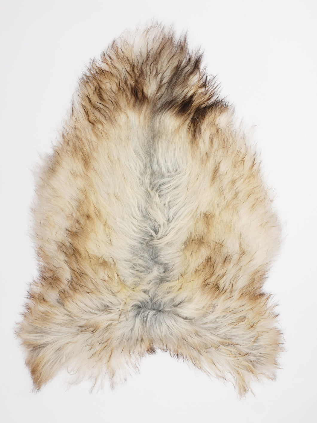 Pilkas islandiškas avikailis L