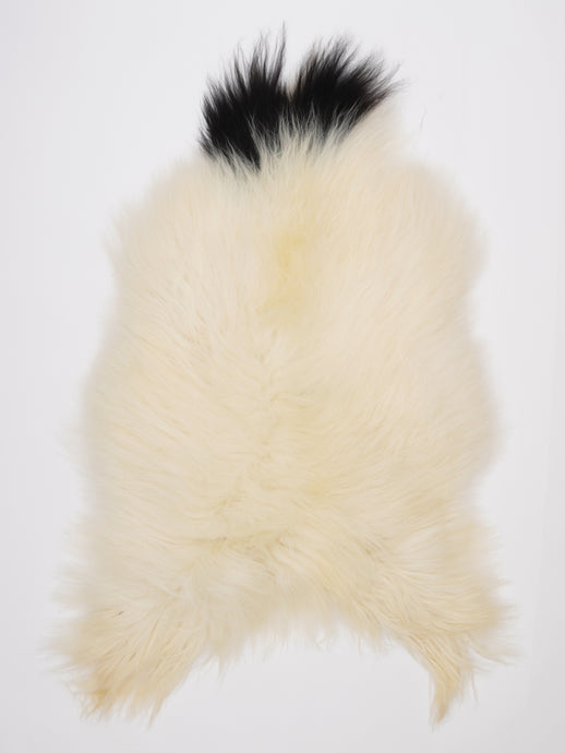 Islandiškas avikailis XL