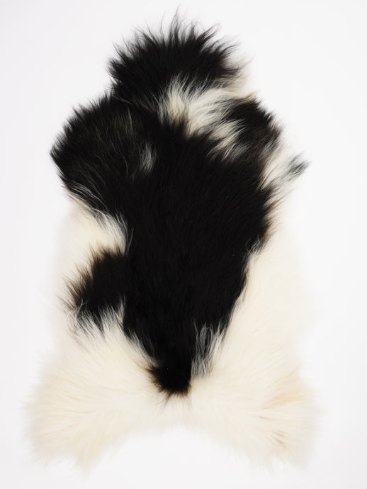 Islandiškas avikailis XXL