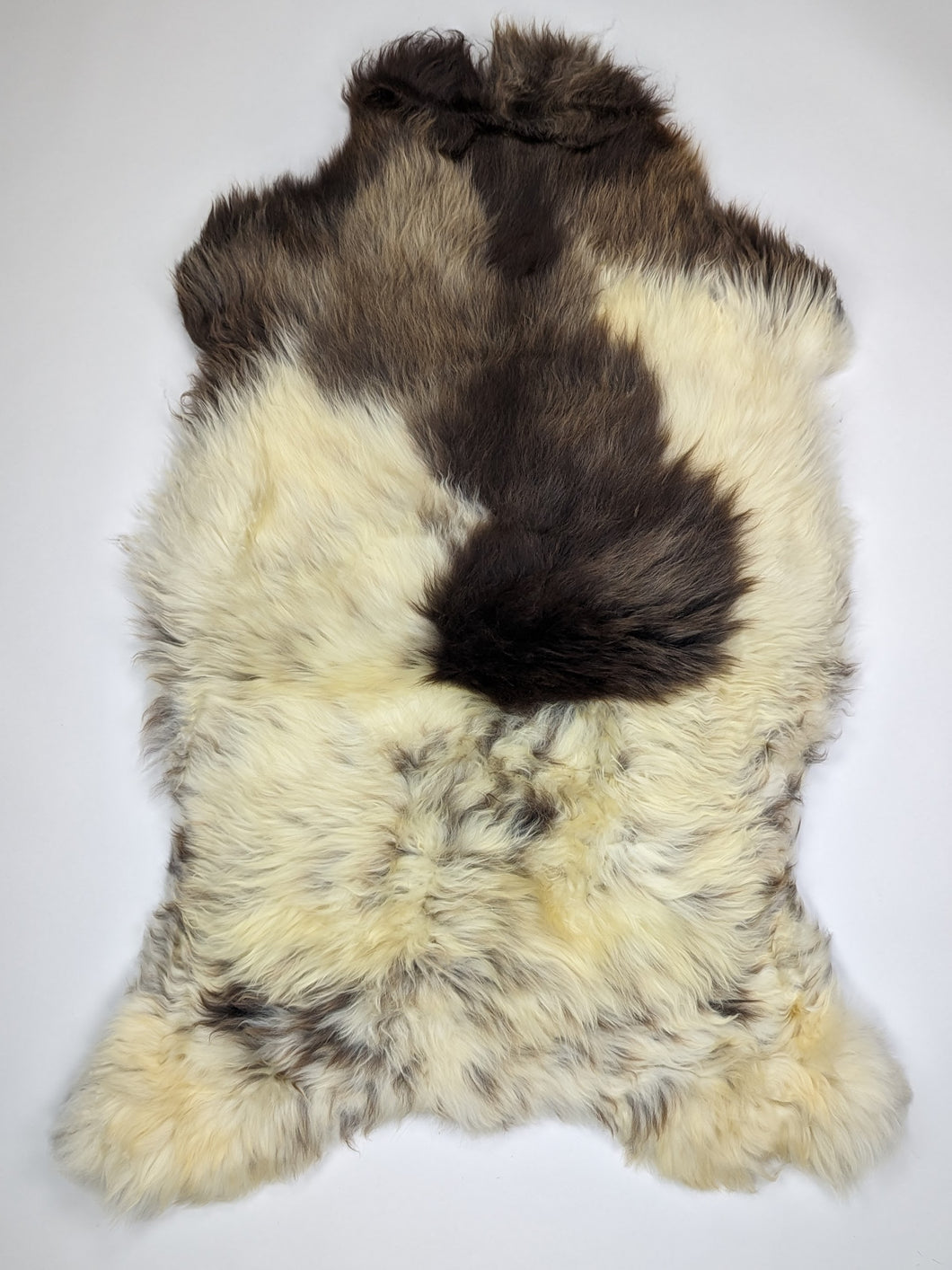 Įvairiaspalvis avikailis XXL