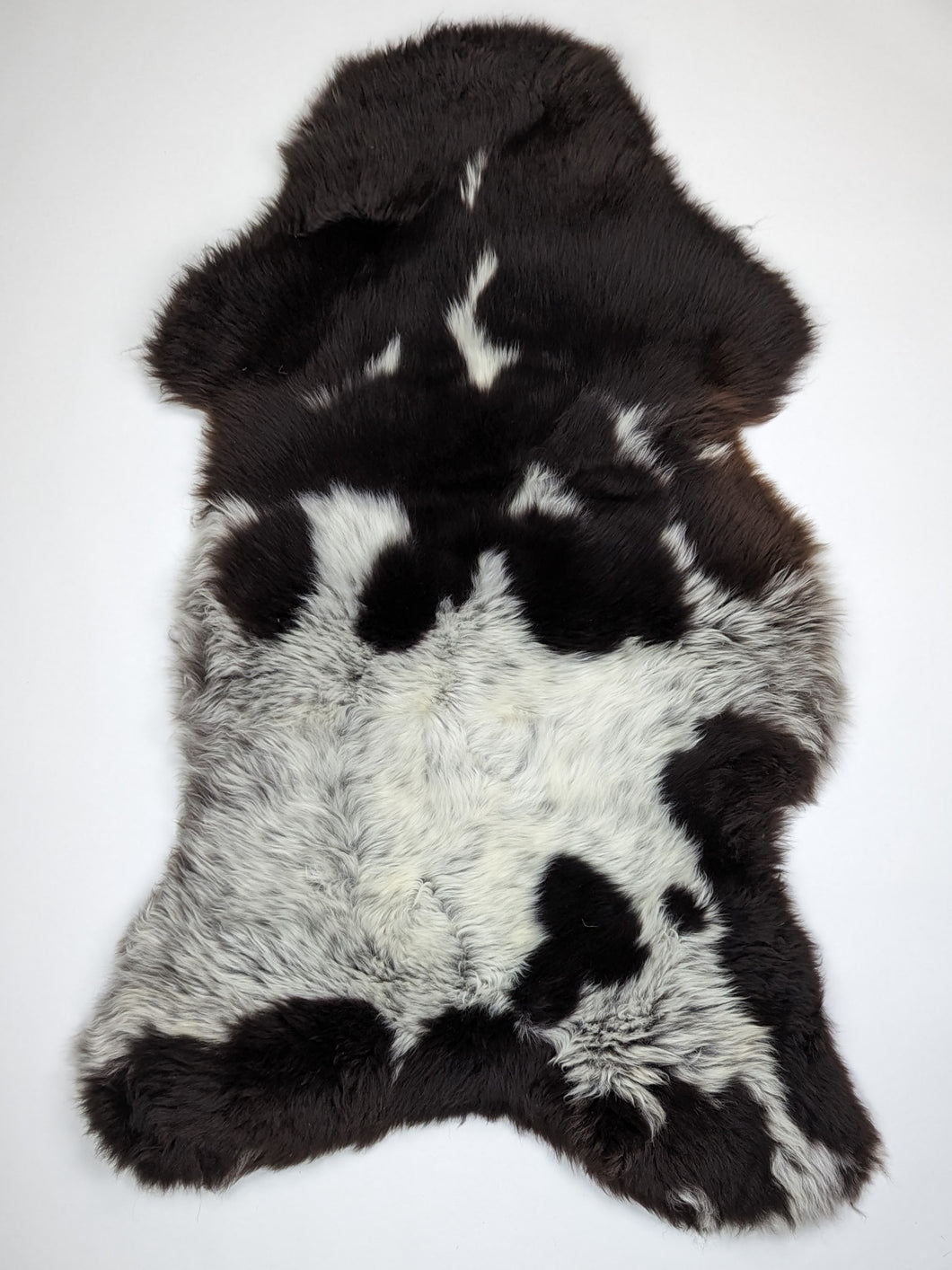 Įvairiaspalvis avikailis XL