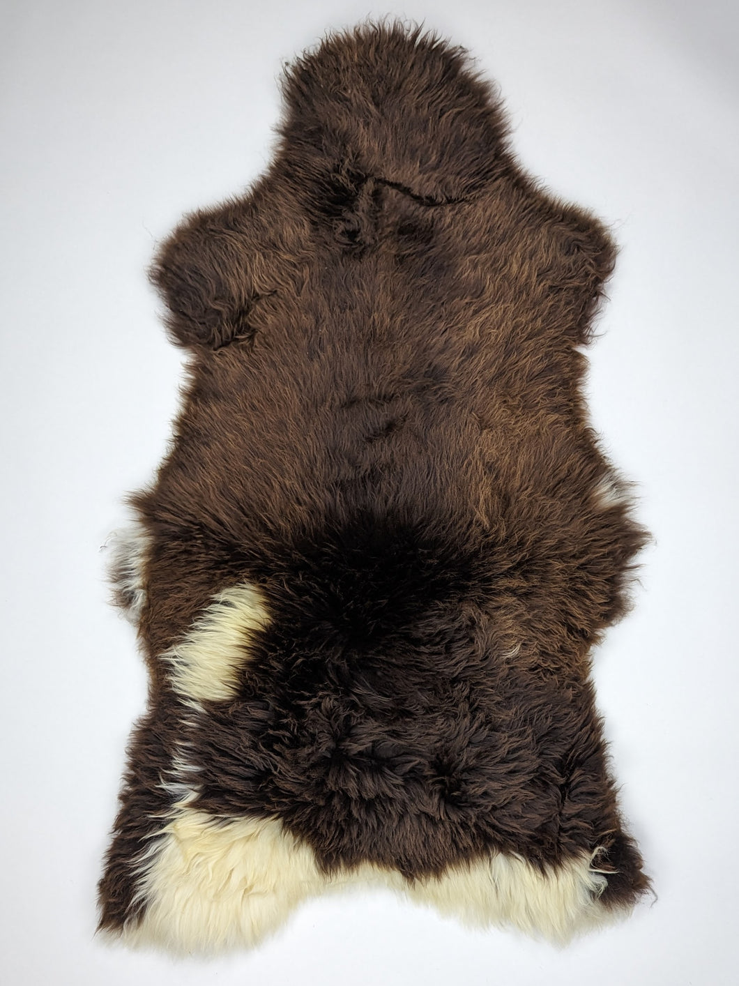 Įvairiaspalvis avikailis XL