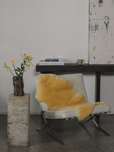 Įkelti vaizdą į galerijos rodinį, Medicininis avikailis (itin trumpi plaukai)
