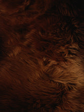 Įkelti vaizdą į galerijos rodinį, Rudas avikailis Rusty iš labai arti
